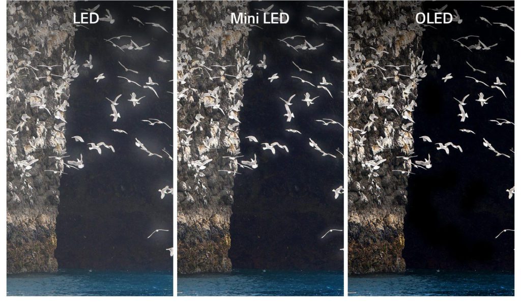  کنتراست: LED در مقابل QLED در مقابل OLED 